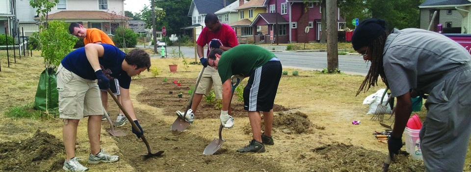 parkgardenvolunteers